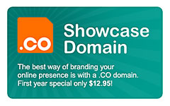 .co Showcase Domain